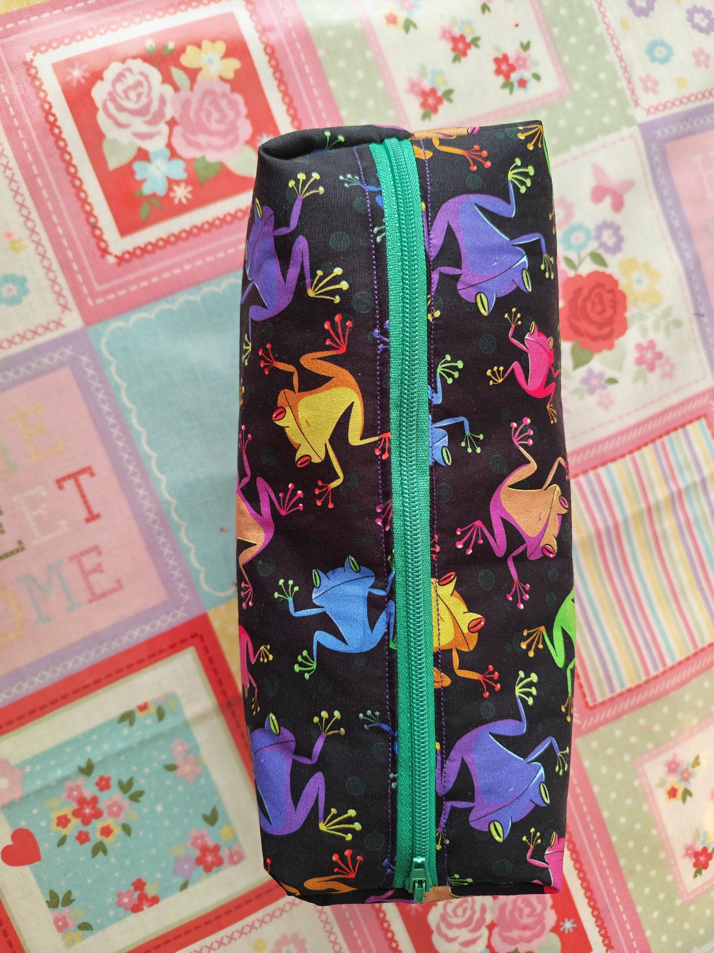 Rainbow Frog Pencil Case