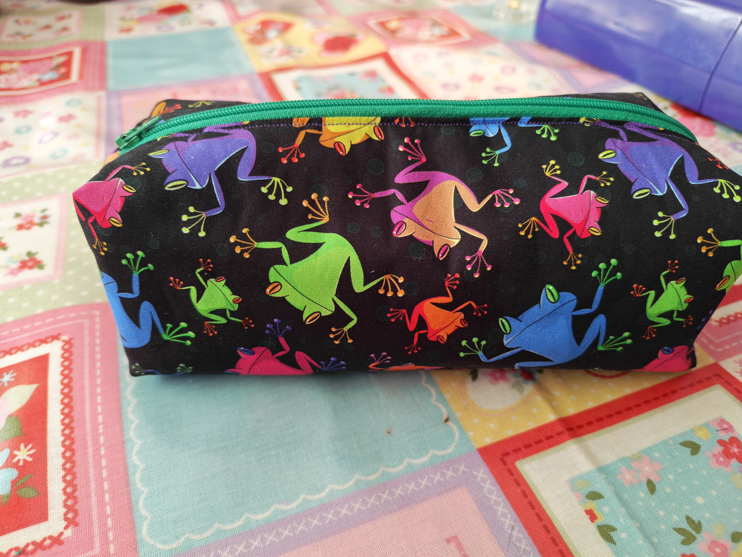 Rainbow Frog Pencil Case